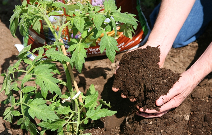 goodwin-agro-Applying-Organic-Compost